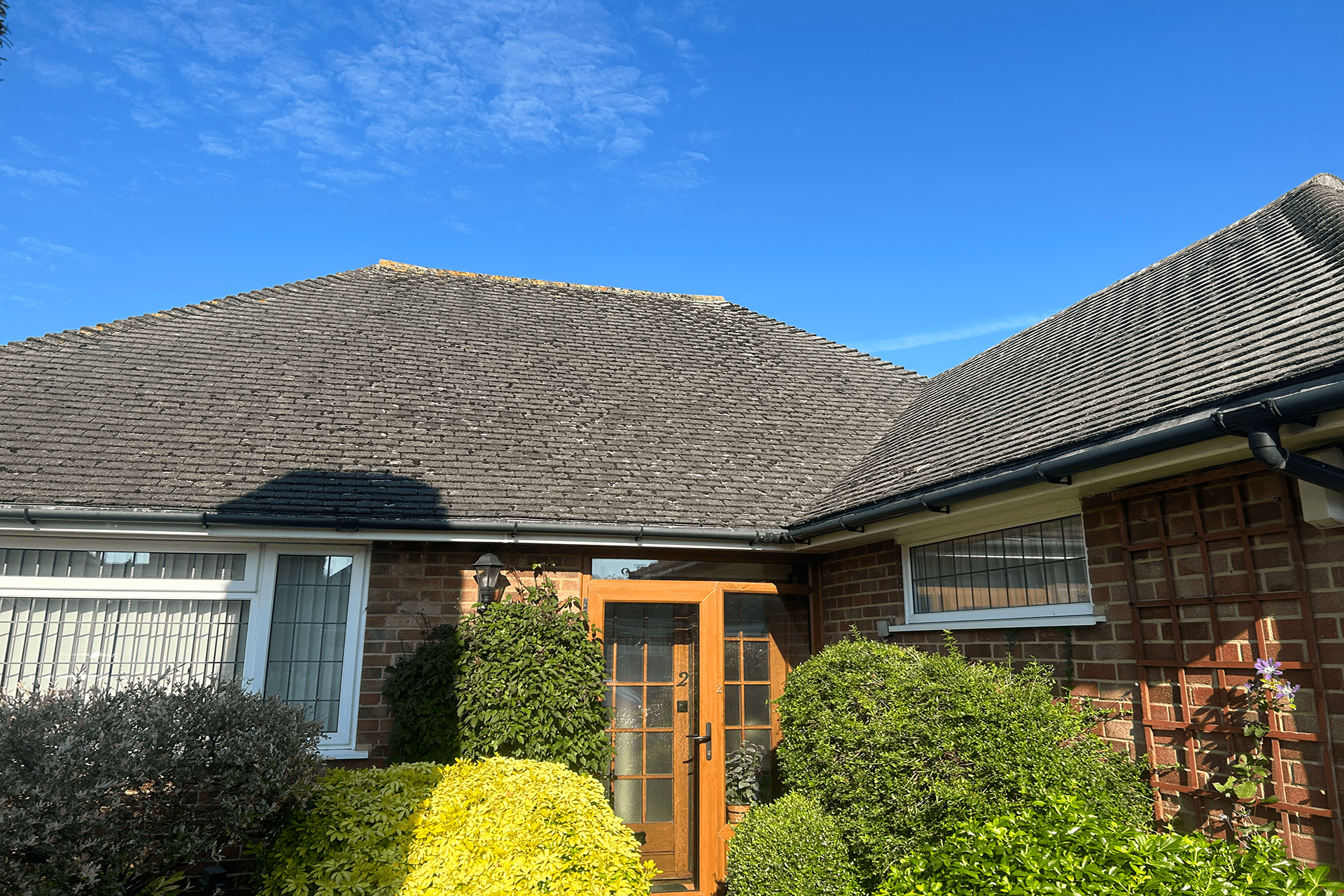 Moss removal Worthing