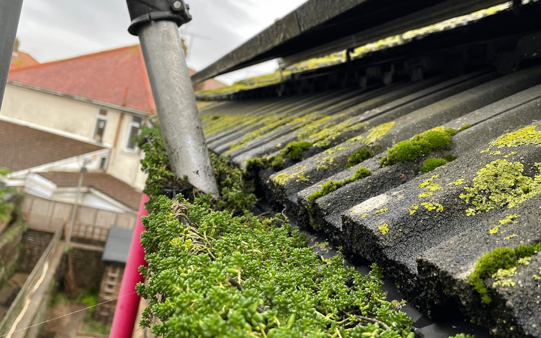 How Roof Cleaning Can Increase the Life of Your Roof
