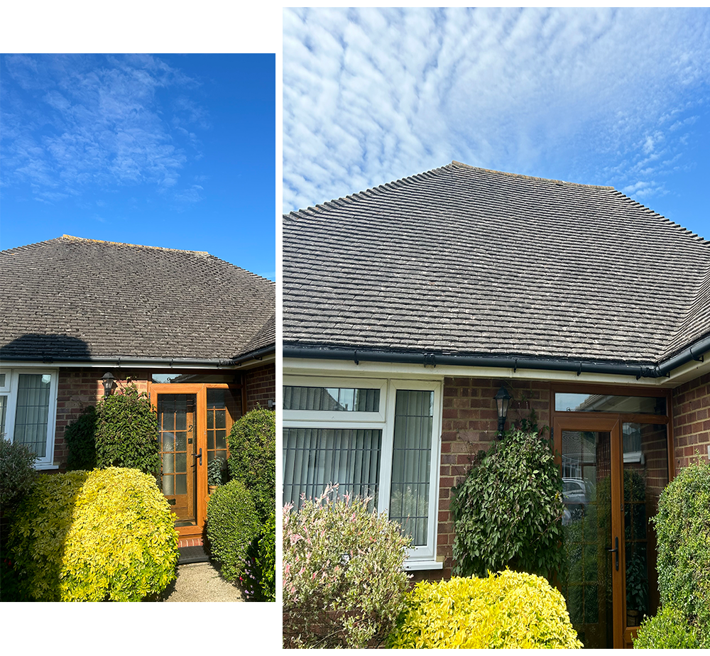 Moss-pro-2 Gutter cleaning Worthing