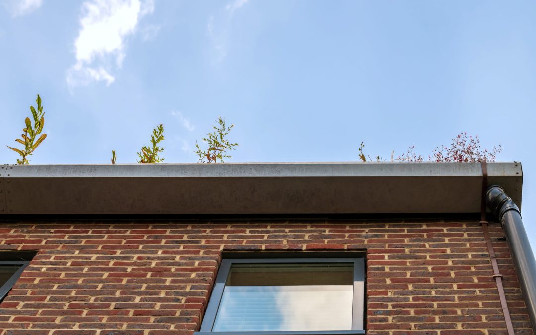 5 Effective Ways to Combat Common Gutter Problems