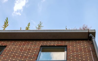 5 Effective Ways to Combat Common Gutter Problems