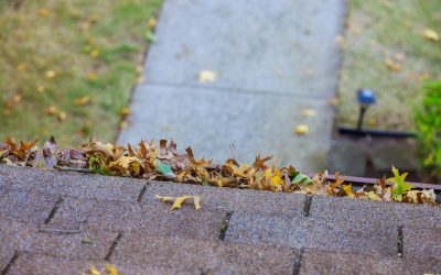 What Are The Core Strategies For Preventing Waterlogging On Flat Roofs?