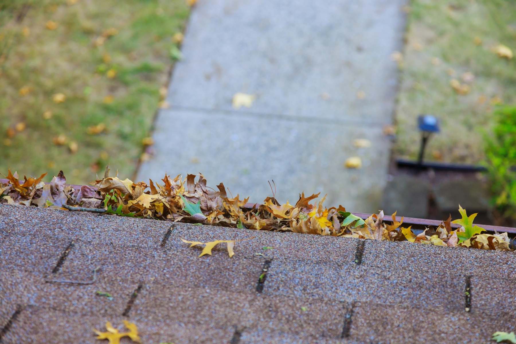 Yellow leaves are covered with iron gutter cover on a roof with leaves Yellow leaves are covered with iron gutter cover on a roof with leaves